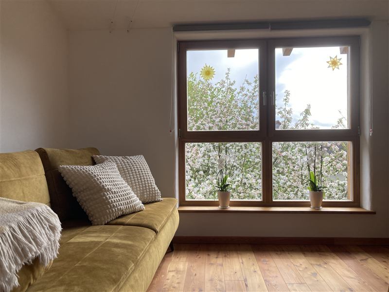 Sofa vor dem Fenster mit Blick auf blühende Bäume
