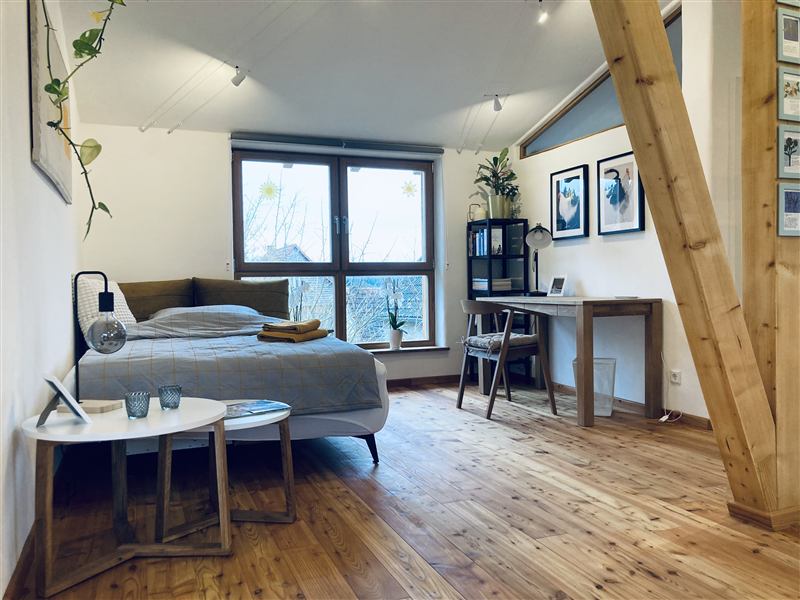 Wohnbereich mit Schlafcouch und Schreibtisch
